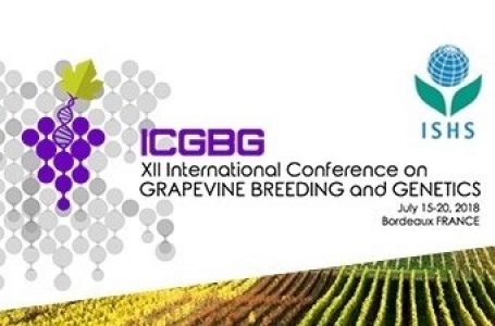 12th Conference on Grapevine Breeding and Genetics in Bordeaux