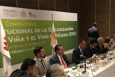 The Mexican wine sector takes hold of its destiny with great ambitions