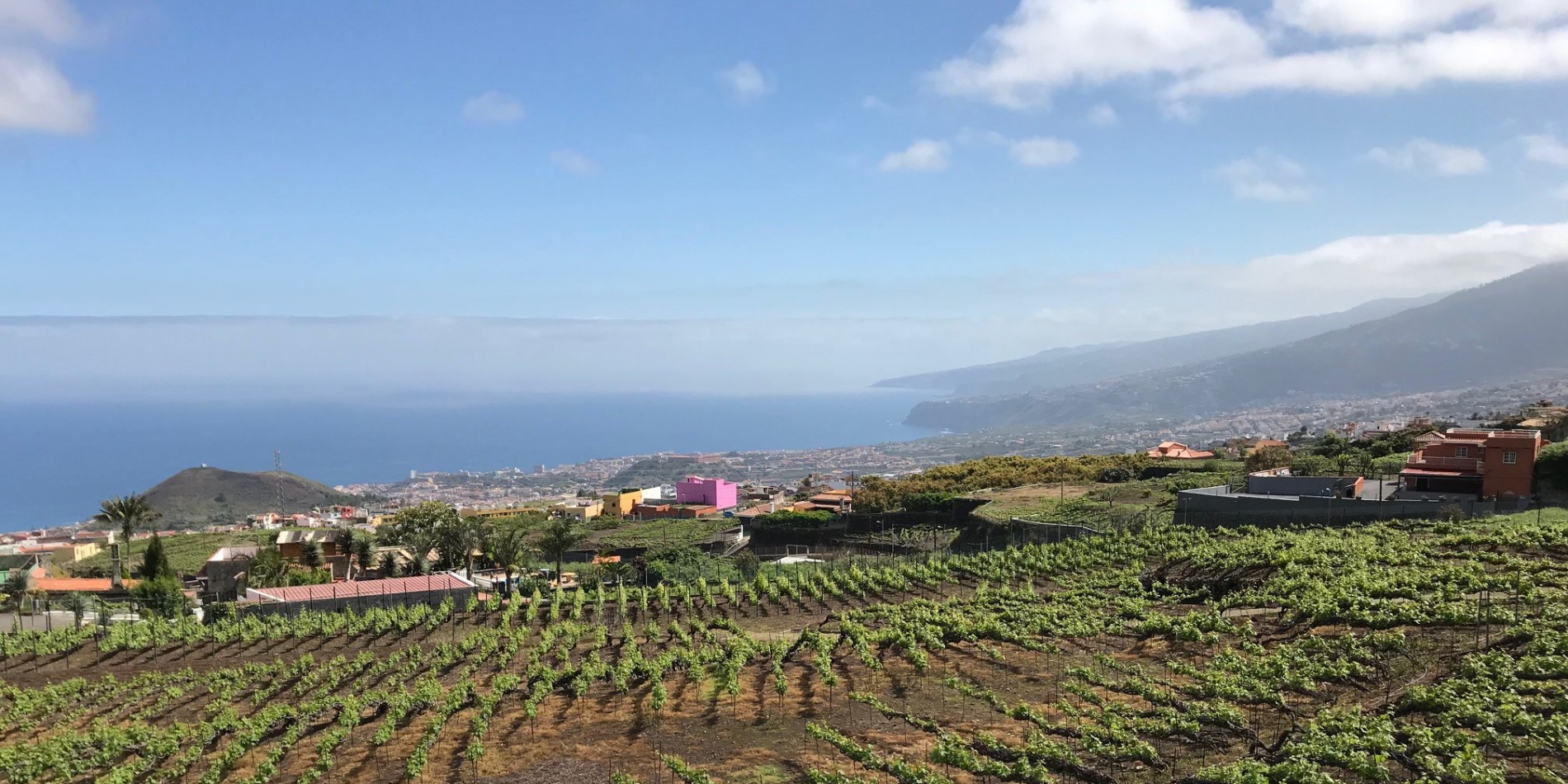 6th Int. Congress on Mountain and Steep Slope Viticulture in La Laguna