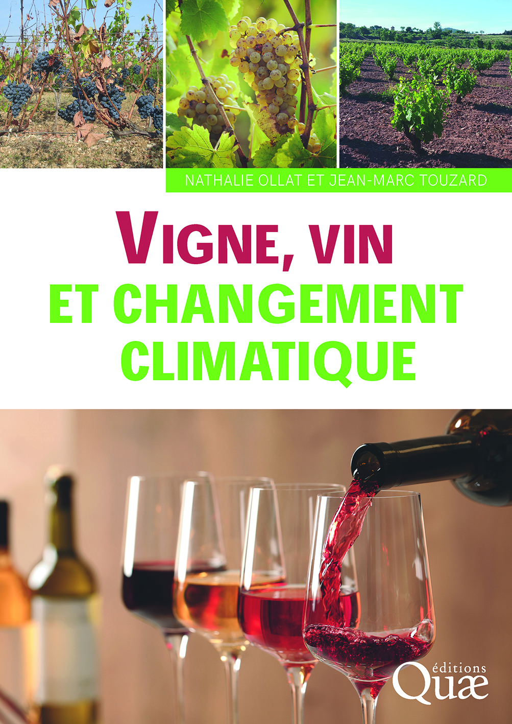 Vigne, vin et changement climatique book cover