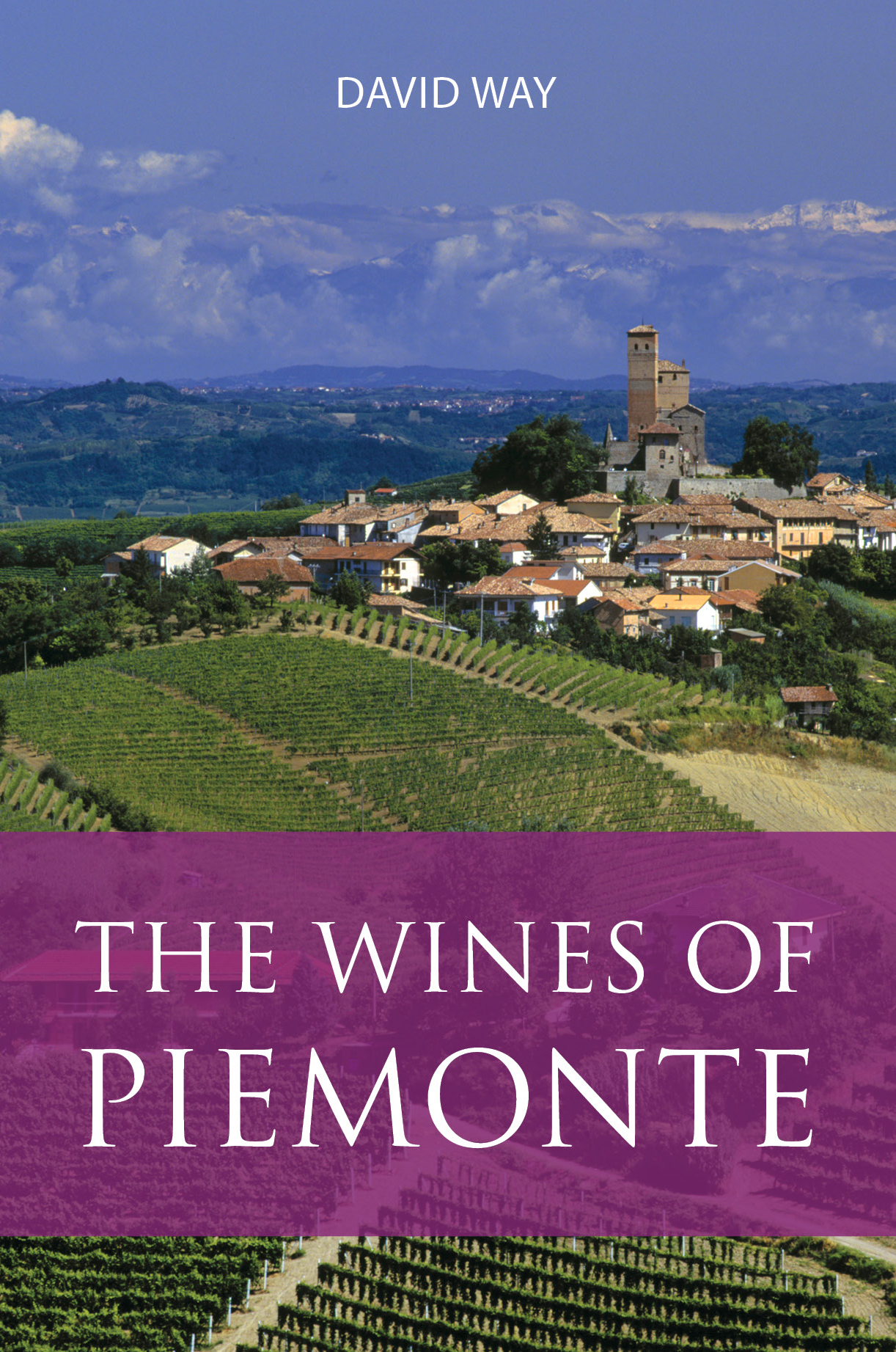 The wines of Piemonte BOOK COVER