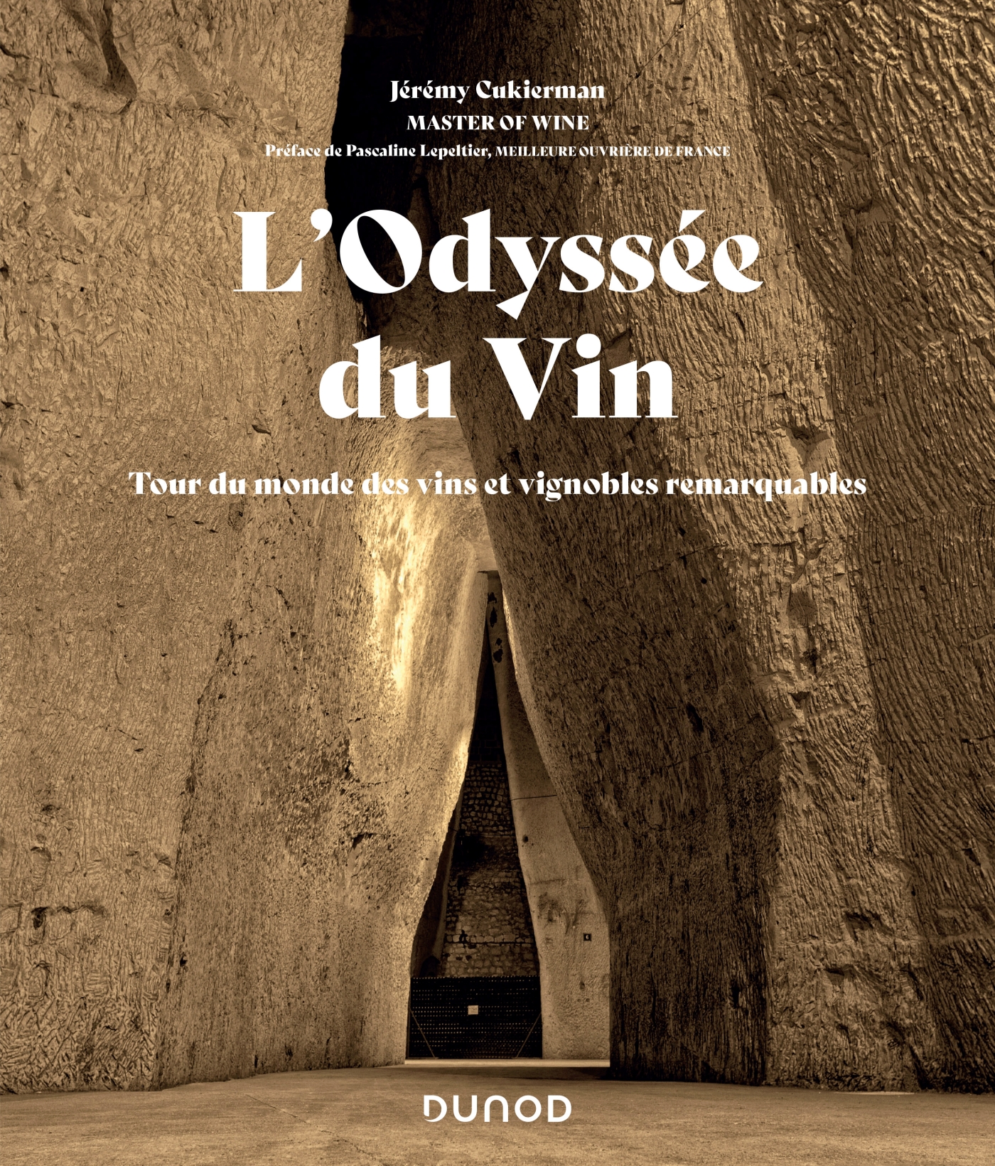 L'Odyssée du Vin book cover