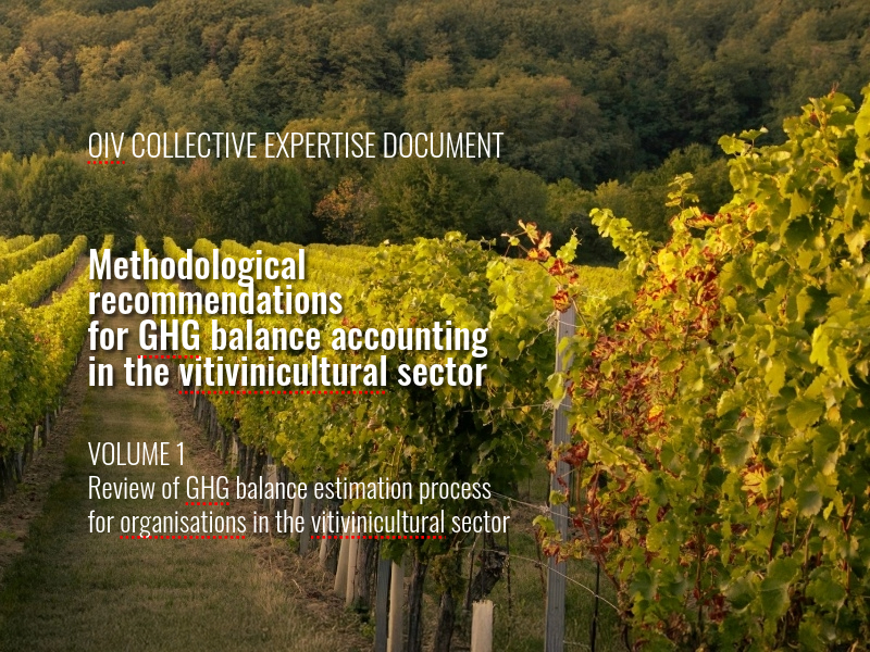 OIV expertise document cover in a vineyard