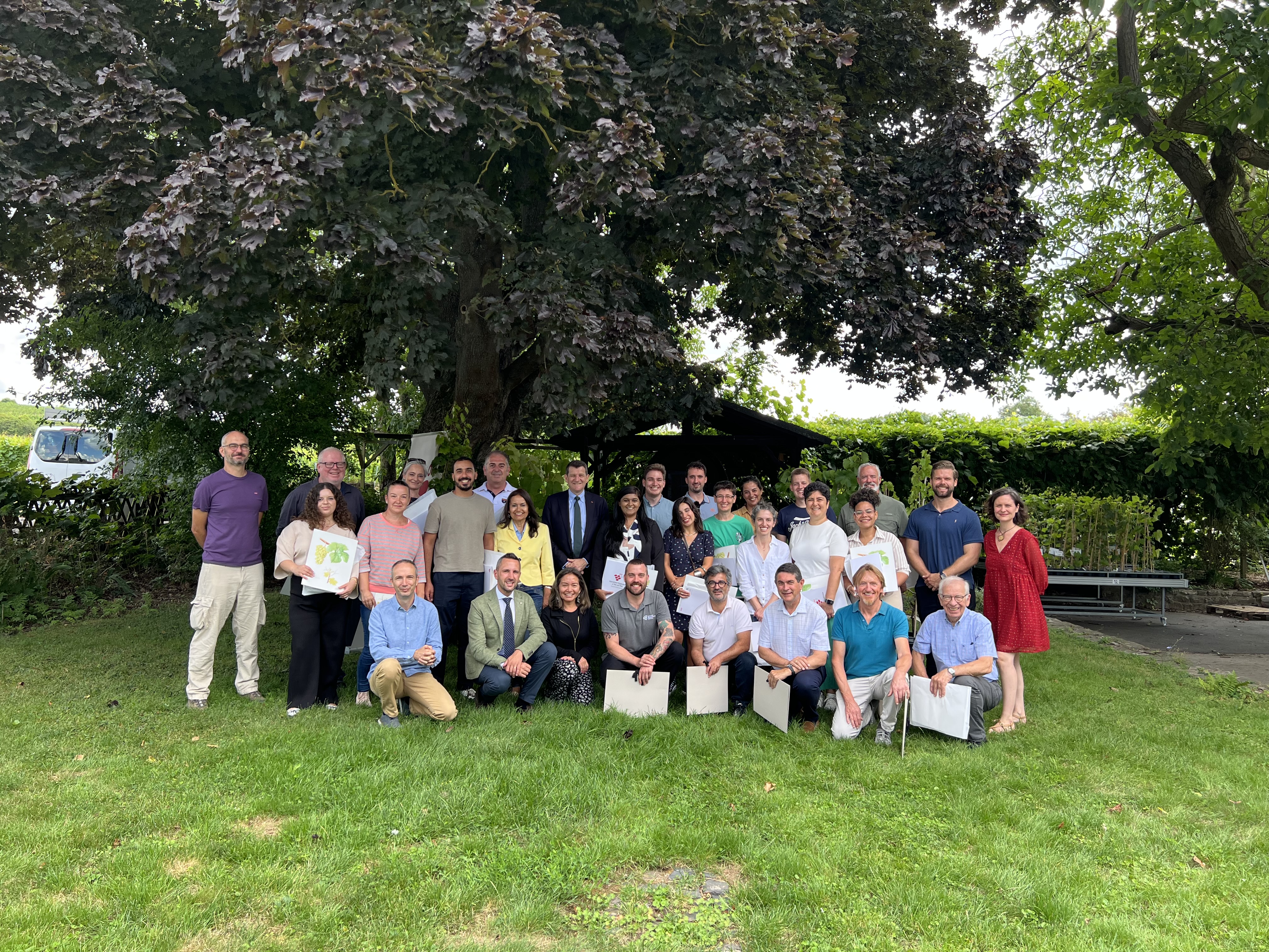 OIV Ampelography Course 2025 
