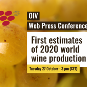 OIV Web Press Conference. October 2020