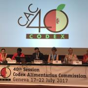 Participation of the OIV in the 40th session of the Codex Alimentarius Commission