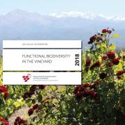 Functional biodiversity in the Vineyard