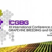 12th Conference on Grapevine Breeding and Genetics in Bordeaux