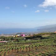 6th Int. Congress on Mountain and Steep Slope Viticulture in La Laguna