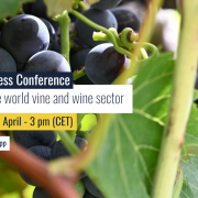 Change of date: OIV Web press conference. State of the world vine and wine sector 