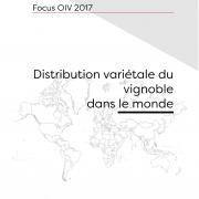 The distribution of the world’s grapevine varieties: new OIV study available!