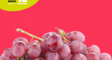 grapes image